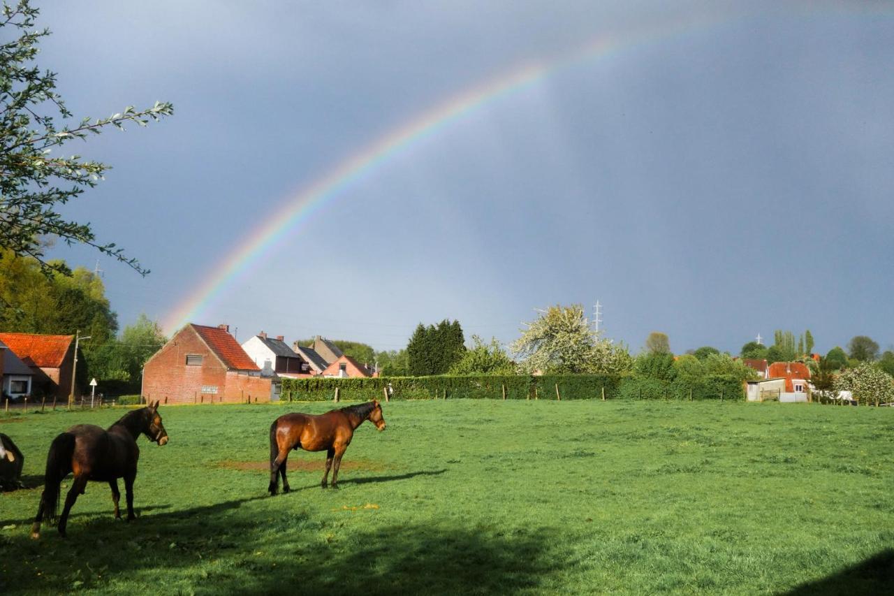 Gite Rural Les Petites Tetes Leuze-en-Hainaut Dış mekan fotoğraf