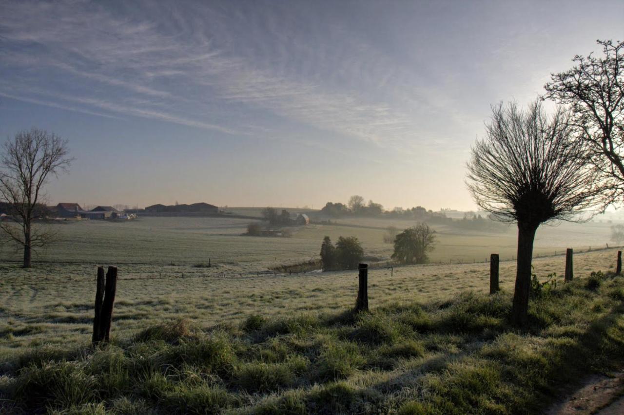 Gite Rural Les Petites Tetes Leuze-en-Hainaut Dış mekan fotoğraf
